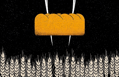 Изображение карточки