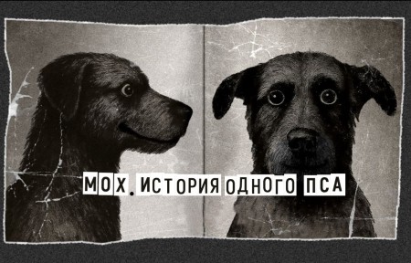 Изображение карточки